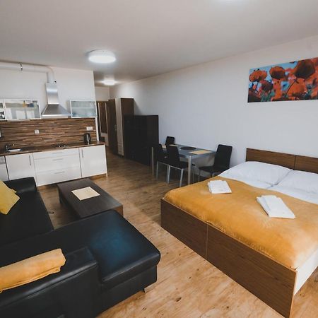 Apartman Max Lipno Lipno nad Vltavou Buitenkant foto