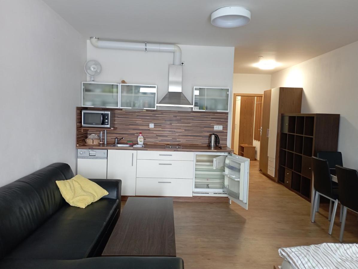 Apartman Max Lipno Lipno nad Vltavou Buitenkant foto