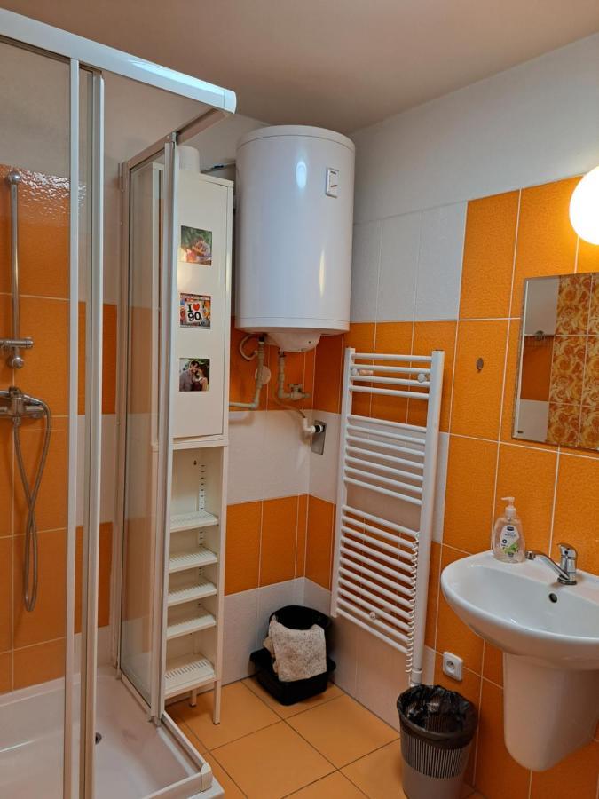 Apartman Max Lipno Lipno nad Vltavou Buitenkant foto
